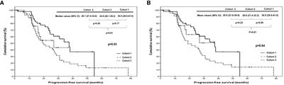 Effect of high-dose polymeric nanoparticle micellar paclitaxel on improved progression-free survival in patients with optimally resected stage III or IV high-grade carcinoma of the ovary: a prospective cohort study with historical controls